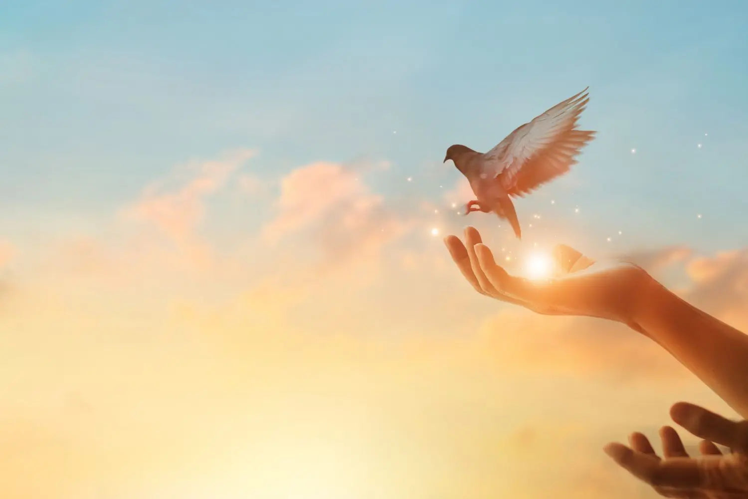 The Third Eye Chakra is the Narrow Gate to Heaven - Chic & Raw