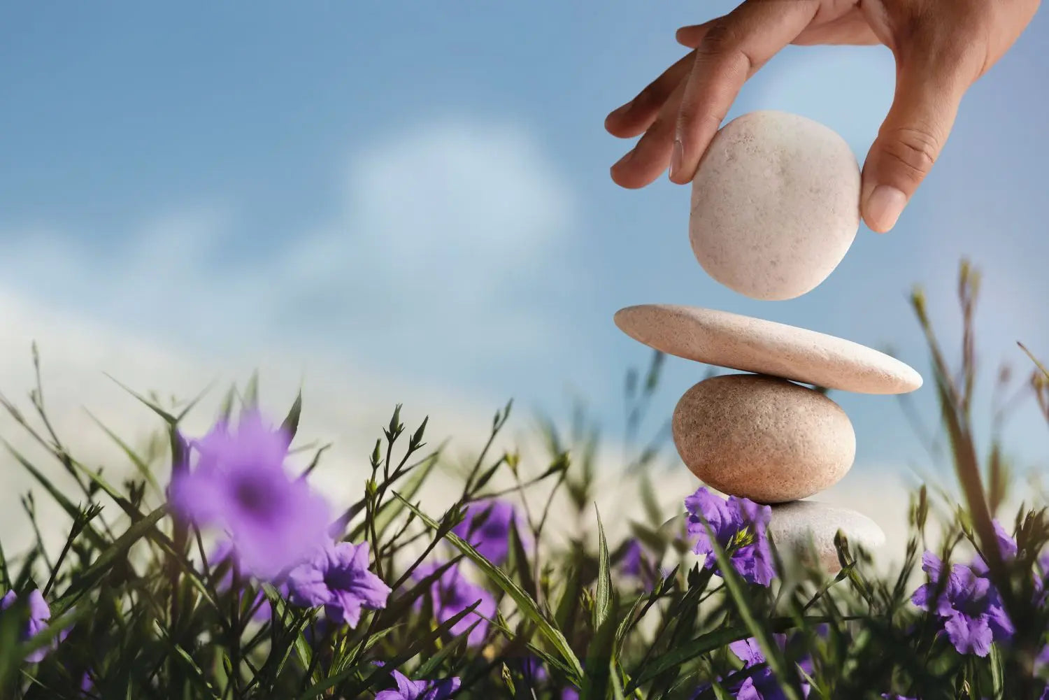 Holistic Health: Healing Mind Body & Spirit - Chic & Raw