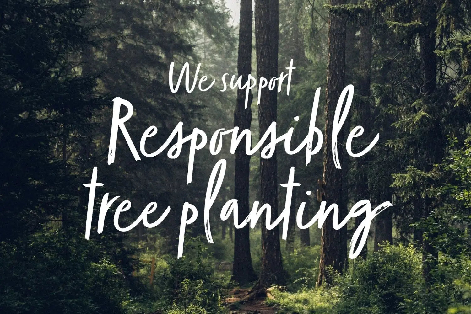 Earth Day Tree Planting