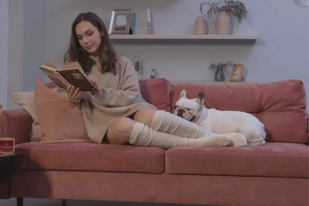 How to Safely Enjoy Candles Around Your Dog - Chic & Raw